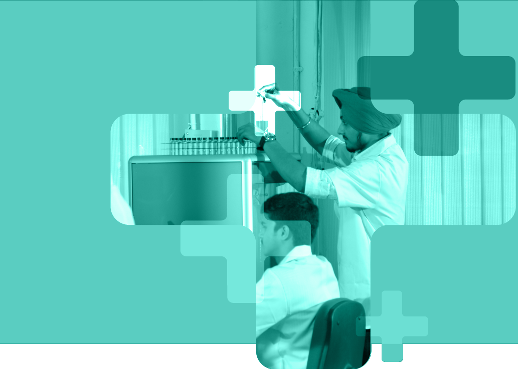 banner image 01