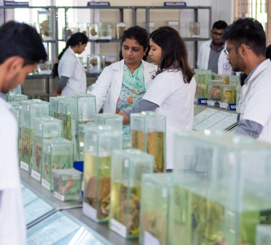 Pathology Museum