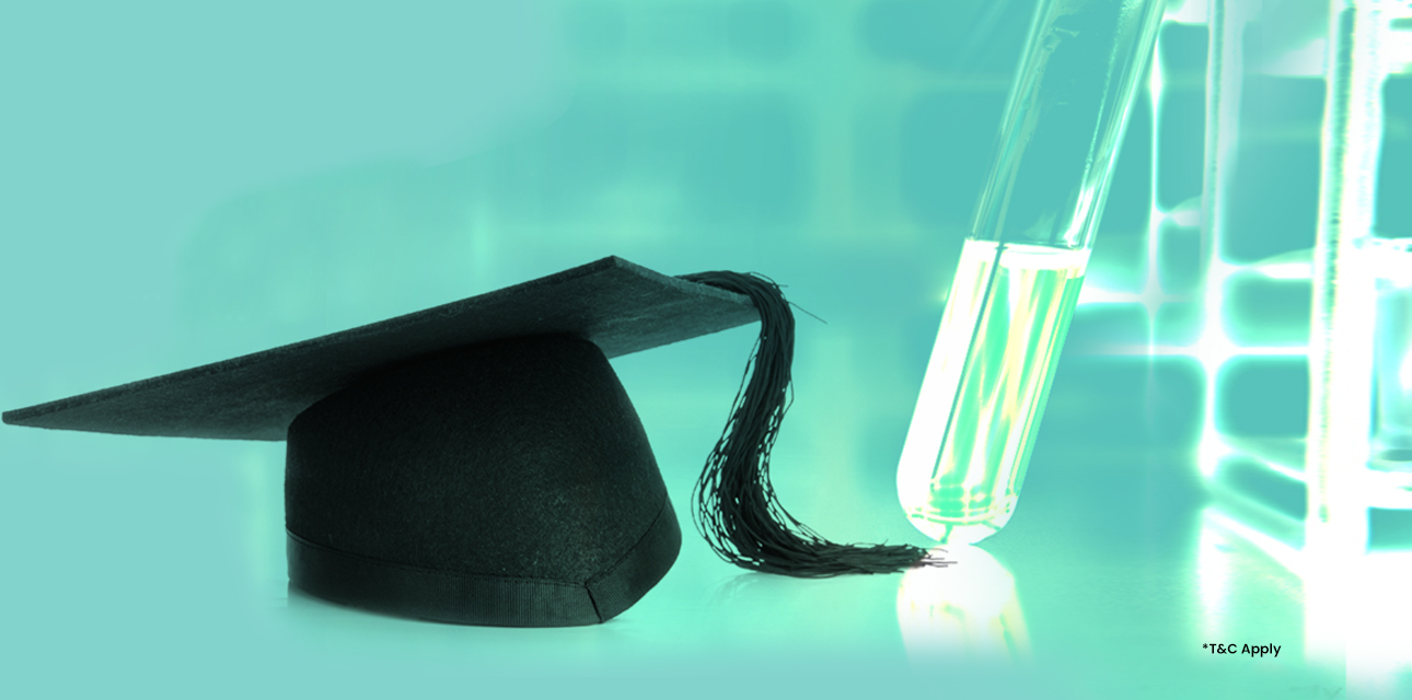 banner image 04
